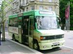 Minibus Baden-Baden