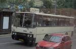 Alter Bus aus Budapest