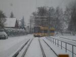 2635 - Hellerau im Schnee
