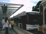 XXL Hybrid Bus (3)