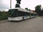 XXL Hybrid Bus (1)